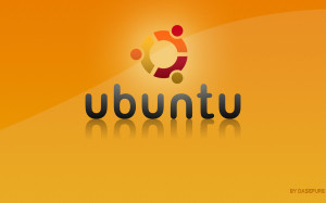 Ubuntu_Wallpaper___HumanFlow___by_Dasepure